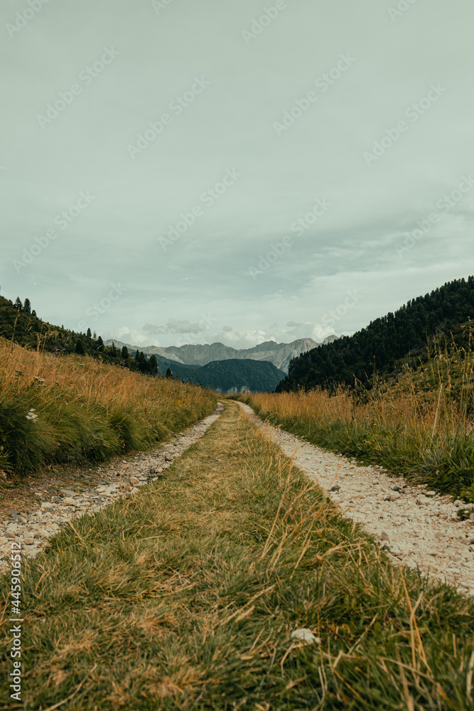 Central perspective image of mountain dirt road in Italy