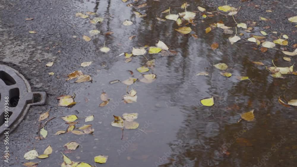 Cloudy weather in city. Yellow foliage in puddle of water after autumn rain. Manhole at street, close up. Cloudy weather in city. Yellow foliage in puddle of water after autumn rain. Manhole at street, close up.