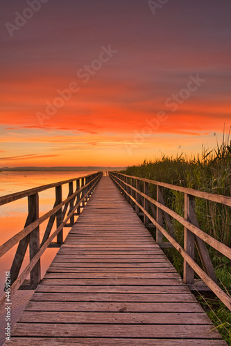 Federsee Bad Buchau Sonnenaufgang Federseesteg