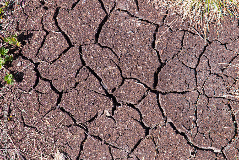 Dry ground with cracks Dry ground with cracks