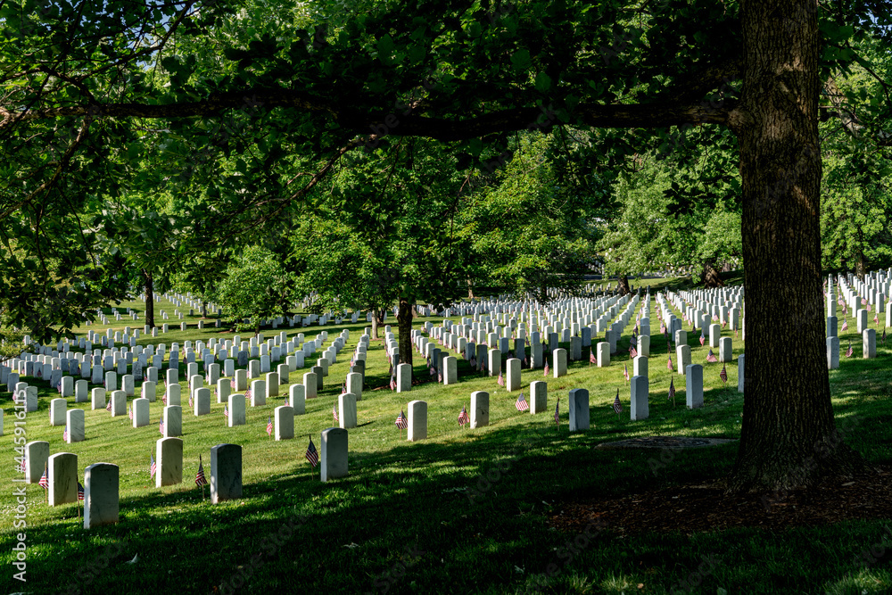Mature trees shade the tomb stones at Arlington Cemetery