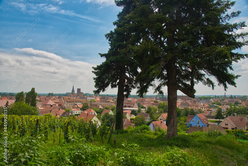 Rouffach und sein Chateau d'Isenbourg im Elsass Rouffach und sein Chateau d'Isenbourg im Elsass
