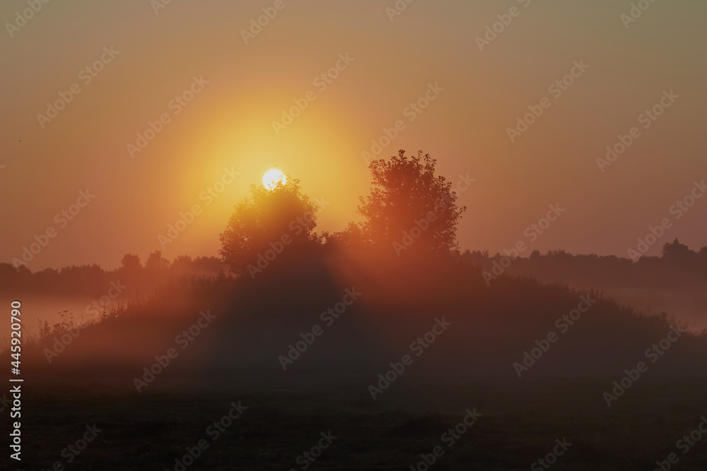 Sunrise over the cliff. morning haze at dawn on a cliff in summer. Freshness.