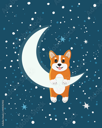 The character of cute welsh corgi on the half moon with a star. Illustration for banner, sticker and poster for baby rooms. Childish background.