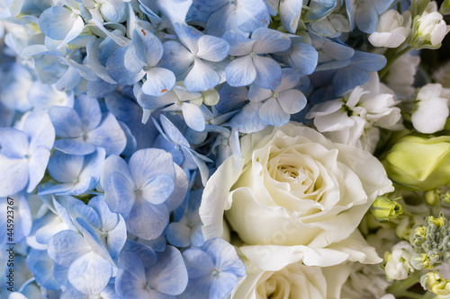 Flower bouquet in blue color