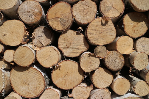 sawn round birch firewood stacked