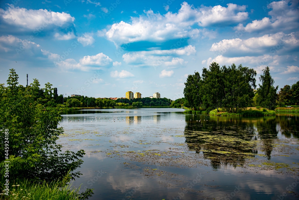 Obraz premium lake in the park
