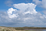 Thunder cloud formation - cumulonimbus above a dune landscape on Terschelling The Netherlands