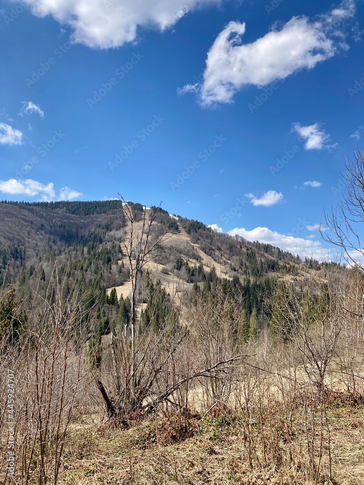 view of the mountains