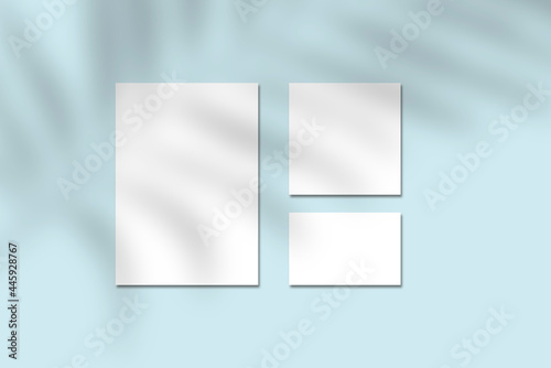 empty white vertical a4 poster and one square sized and one horizontal rectangle card mockups with soft tropical leave shadow on light blue background. Flat lay, top view template