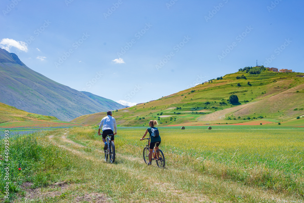 Couple cycling mtb in blooming cultivated fields, famous colourful flowering plain in the Apennines, Castelluccio di Norcia highlands, Italy. Lentil crops, red poppies and blue cornflowers.