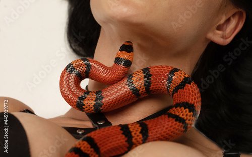 Sexy woman with a snake on grey background.