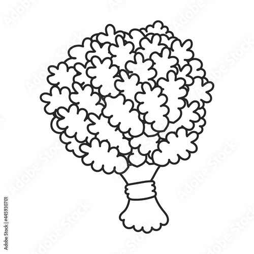Sauna broom vector icon.Outline vector icon isolated on white background sauna broom.
