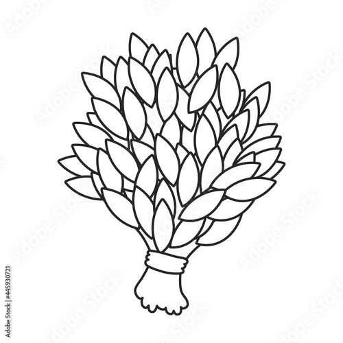 Sauna broom vector icon.Outline vector icon isolated on white background sauna broom.