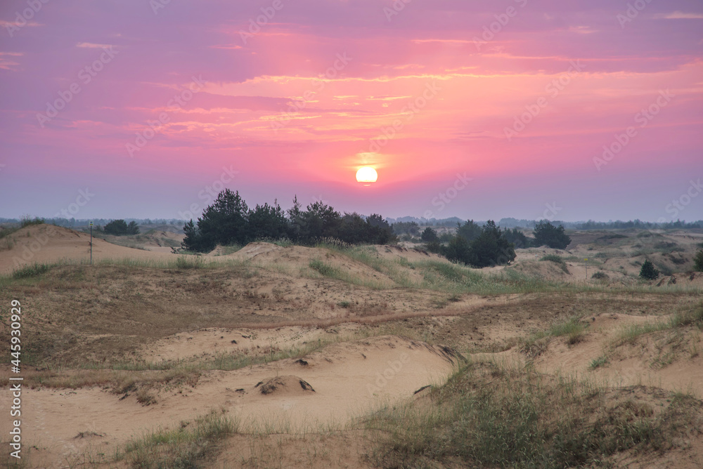 desert landscape at sunrise. summer background