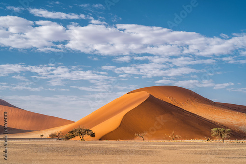 Towering sand dunes at sunrise near Sossusvlei in the Namib desert, Namib-Naukluft National Park, Namibia, Africa.