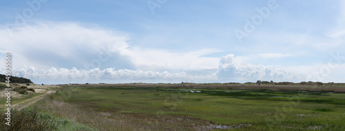 Fototapeta Naklejka Na Ścianę i Meble -  Wetland in the dune area of West-Terschelling Waddenisland The Netherlands with a cloudscape