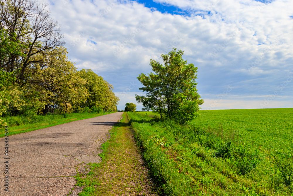 Summer landscape with country asphalt road and blue sky Summer landscape with country asphalt road and blue sky