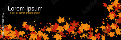 Autumn style vector banner template. Black background with colorful tree leaves 