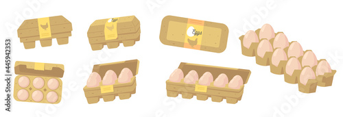 Set of Eggs in Carton Closed and Open Boxes, Farmer Production, Organic Farm Food Design Elements, Icons for Market