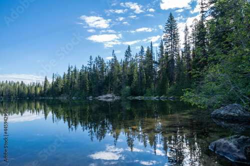 Fototapeta Naklejka Na Ścianę i Meble -  Bradley Lake in Grand Teton National Park - tree view with calm water