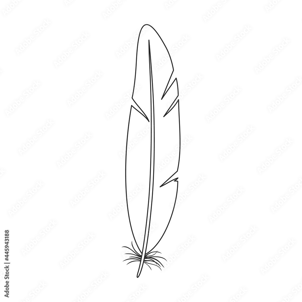 Feather bird vector outline icon. Vector illustration quill on white background. Isolated outline illustration icon of feather bird . Feather bird vector outline icon. Vector illustration quill on white background. Isolated outline illustration icon of feather bird .