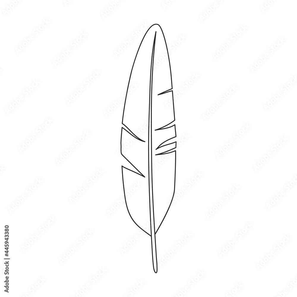 Feather bird vector outline icon. Vector illustration quill on white background. Isolated outline illustration icon of feather bird . Feather bird vector outline icon. Vector illustration quill on white background. Isolated outline illustration icon of feather bird .