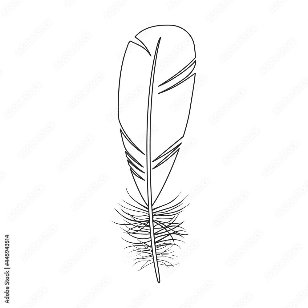 Feather bird vector outline icon. Vector illustration quill on white background. Isolated outline illustration icon of feather bird . Feather bird vector outline icon. Vector illustration quill on white background. Isolated outline illustration icon of feather bird .