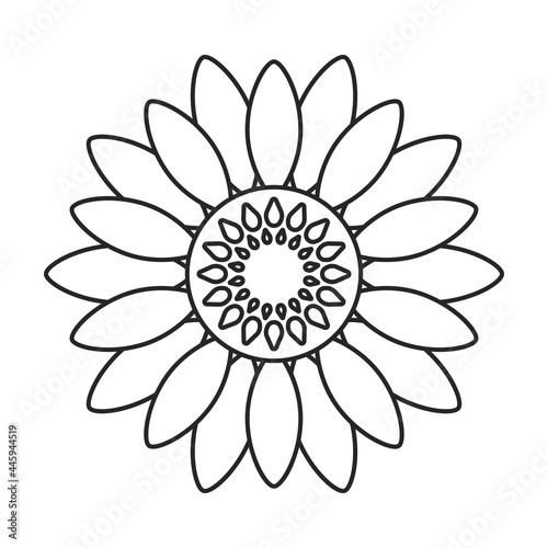 Sunflower vector outline icon. Vector illustration san flower on white background. Isolated outline illustration icon of sunflower.