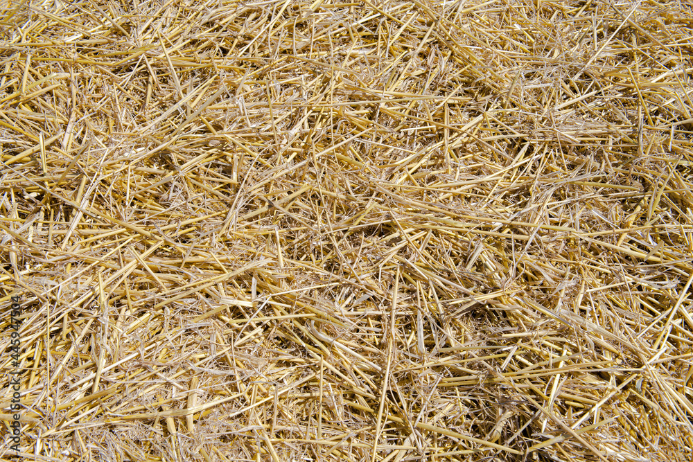 Structure of chopped straw bedding | 5594 Structure of chopped straw bedding | 5594