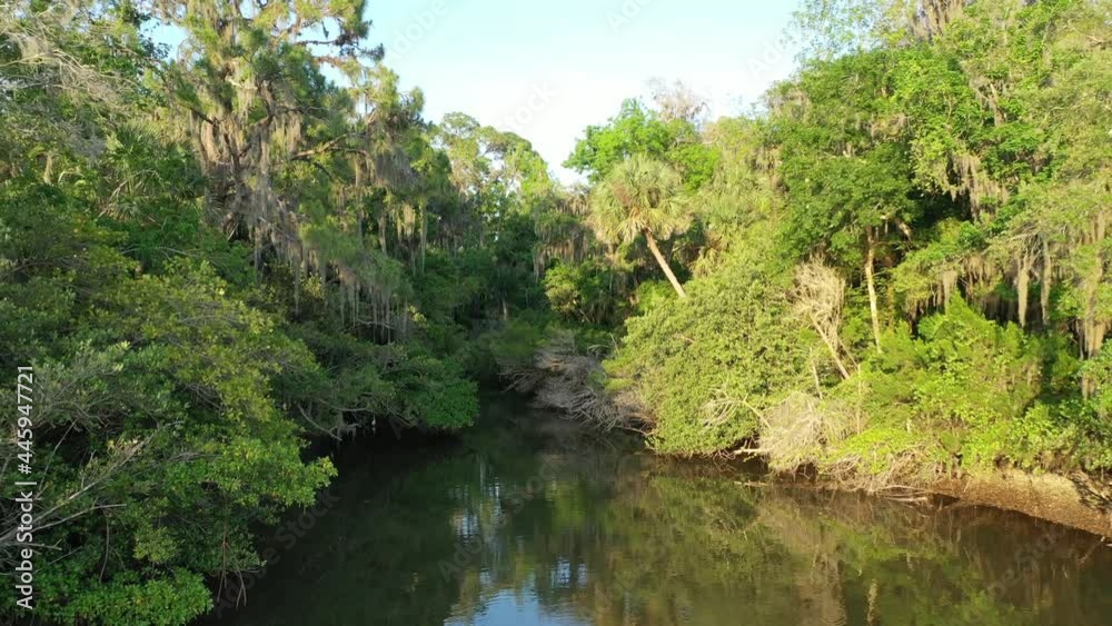 Pull-back aerial of a small natural Florida cove with brackish water surrounded by Spanish moss covered live oak trees and palm trees. Spruce Creek Basin, Doris Leeper Preserve, New Smyrna Beach, Flor Pull-back aerial of a small natural Florida cove with brackish water surrounded by Spanish moss covered live oak trees and palm trees. Spruce Creek Basin, Doris Leeper Preserve, New Smyrna Beach, Flor