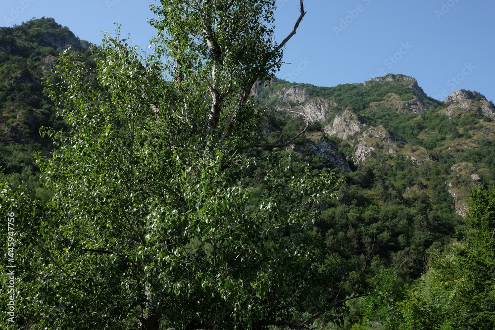 travel to sunny day in mountains travel to sunny day in mountains