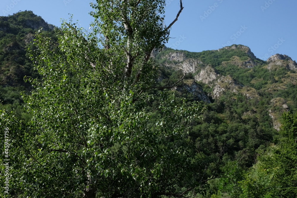 travel to sunny day in mountains