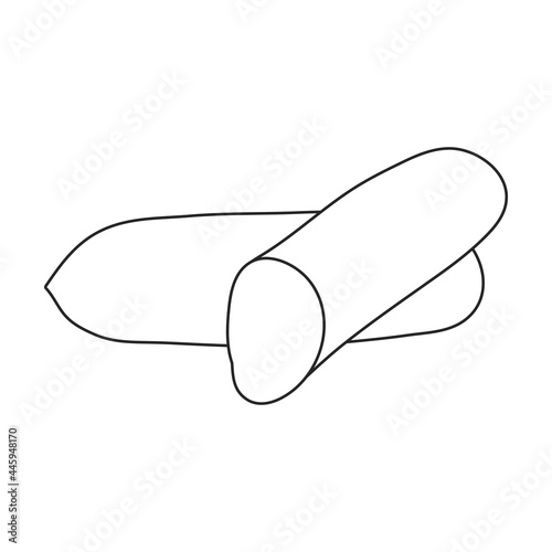 Sausage vector outline icon. Vector illustration meat on white background. Isolated outline illustration icon of sausage, .