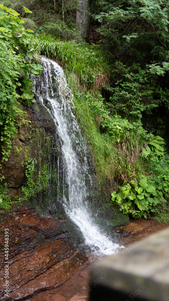 Sankenbach Wasserfall II