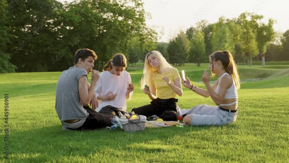 Picnic, group of four teens sitting on lawn on grass in park, eating, drinking, talking, having fun Picnic, group of four teens sitting on lawn on grass in park, eating, drinking, talking, having fun
