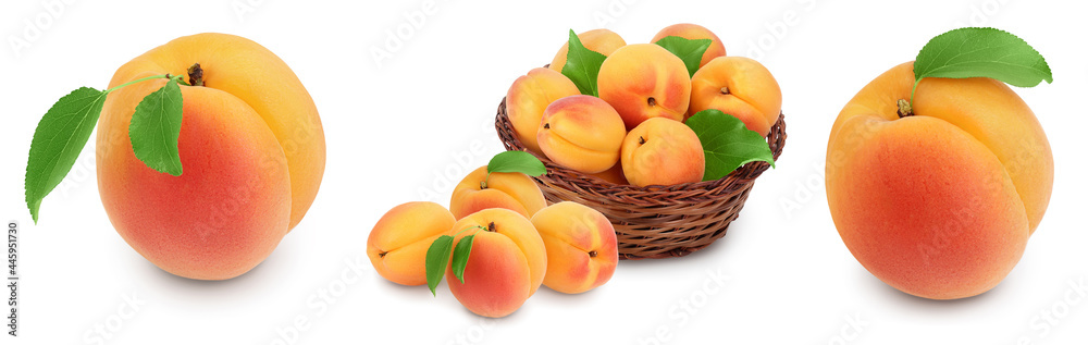 apricot fruit with half and slices isolated on white background with full depth of field. Set or collection apricot fruit with half and slices isolated on white background with full depth of field. Set or collection