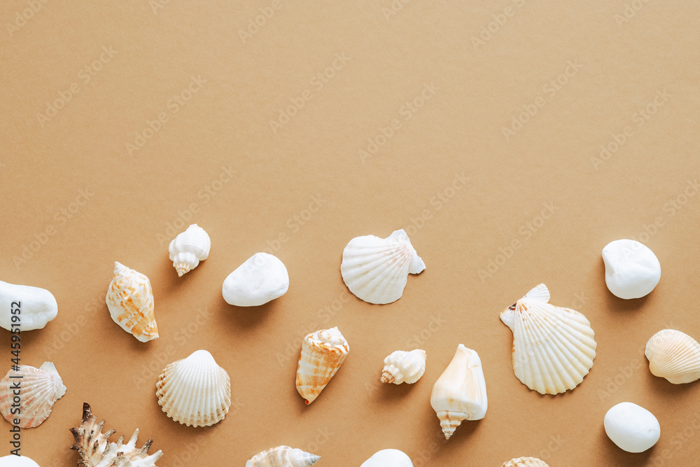 Seashells frame border on sandy background. Flat lay, top view. Summer vacation concept.