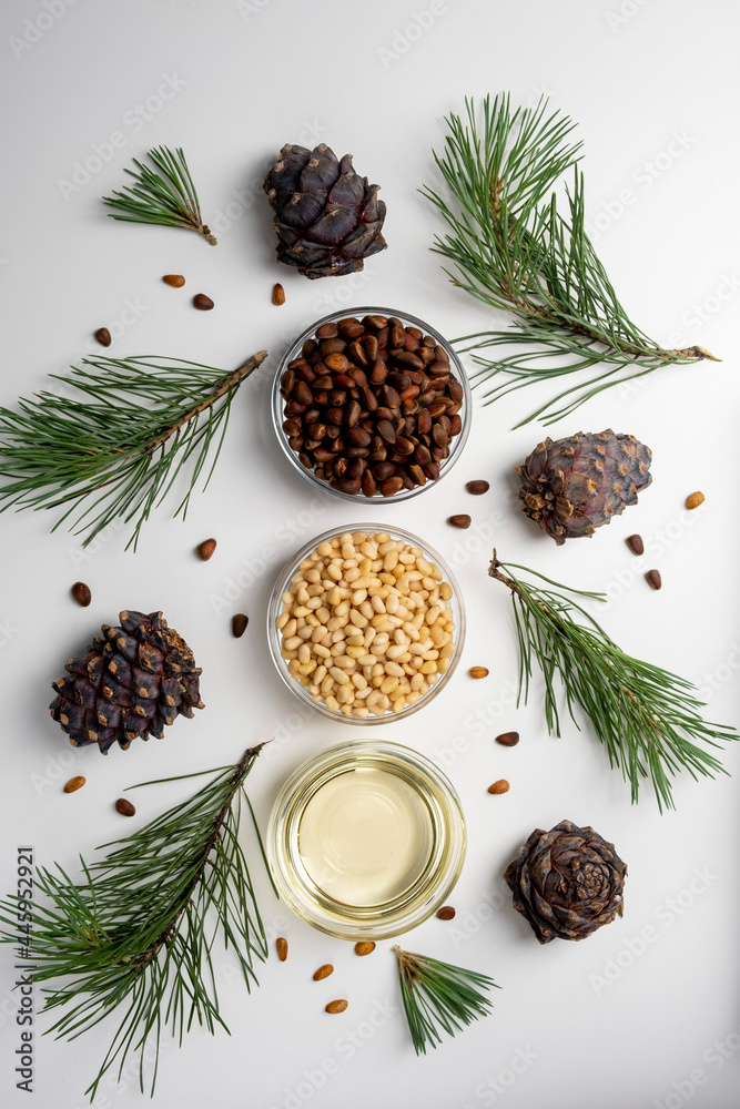 Pine nuts oil with peeled pine nuts and pine cones on white background Pine nuts oil with peeled pine nuts and pine cones on white background