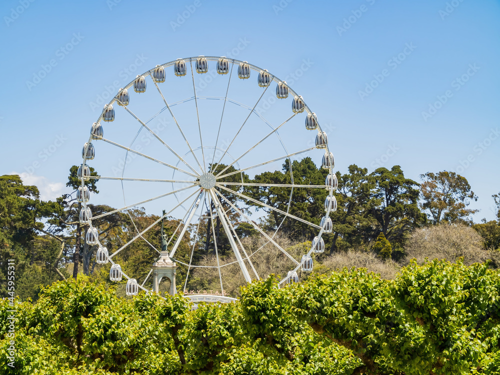Fototapeta premium Sunny view of the SkyStar Wheel in Golden Gate Park