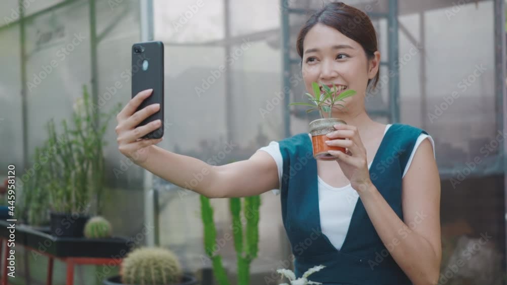 Happy Asian beautiful young woman taking selfie photo of small tree on pot by smartphone for sale in garden near greenhouse, female gardener video call live stream on digital mobile phone, house plant Happy Asian beautiful young woman taking selfie photo of small tree on pot by smartphone for sale in garden near greenhouse, female gardener video call live stream on digital mobile phone, house plant