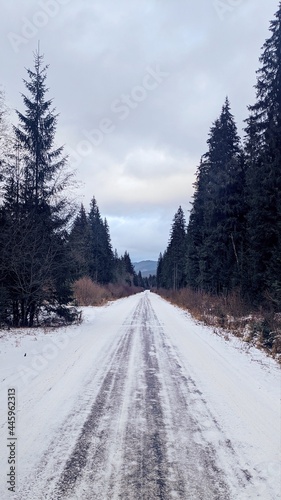 road in the snow
