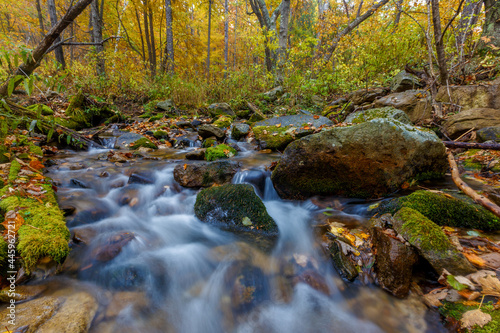Fototapeta Naklejka Na Ścianę i Meble -   Sikhote-Alin Biosphere Reserve. Shutter speed shooting. A crystal clear stream flows over pebbles in an autumn forest. Reserved river.
