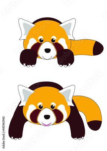 ころころパンダ