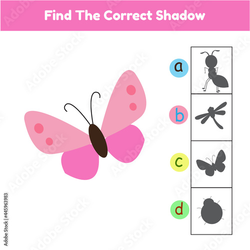 Find The Correct Shadow Game Butterfly Cartoon Illustration Vector