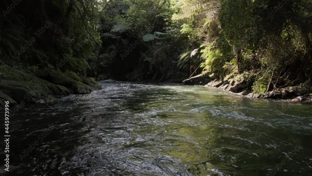 Kaituna River, Rotorua New Zealand. A popular river for whitewater kayaking and commercial rafting. Kaituna River, Rotorua New Zealand. A popular river for whitewater kayaking and commercial rafting.