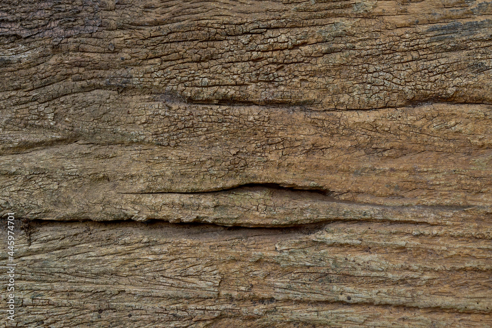 Natural weathered old dark brown texture background. Wooden board texture background. Natural weathered old dark brown texture background. Wooden board texture background.