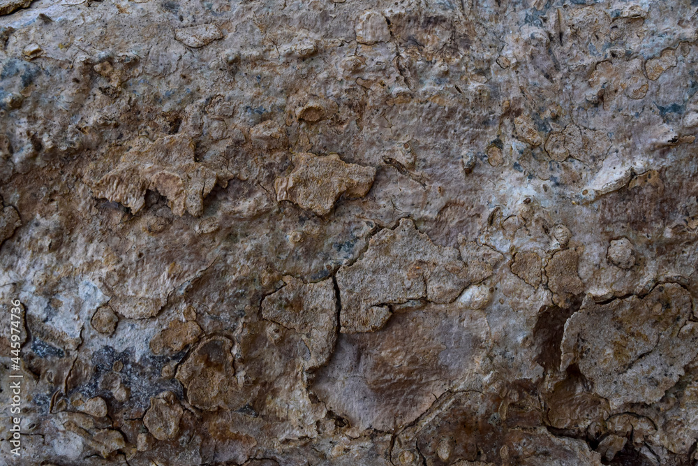 Natural weathered old dark brown texture background. Wooden board texture background. Natural weathered old dark brown texture background. Wooden board texture background.