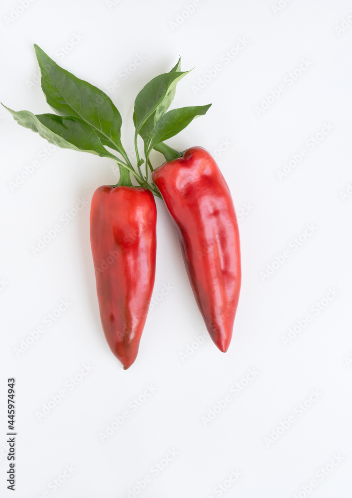 Red ''Corno di Toro'' Peppers with Leaves on White Background