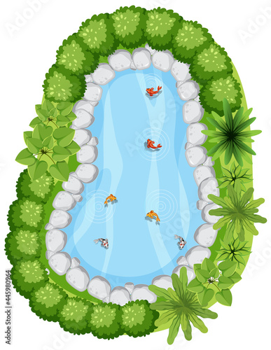 Aerial view with many fishes in nature pond
